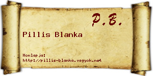 Pillis Blanka névjegykártya